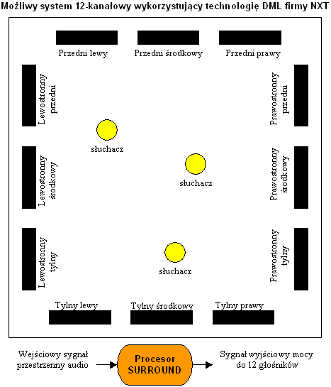 Mo�liwy system 12-kana�owy wykorzystuj�cy technologi� DML firmy NXT